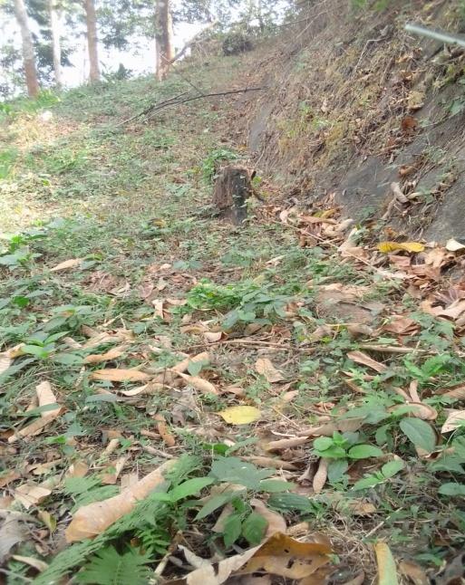 G:\VILLAGE REPORT PICTURES\mawker latest\WhatsApp Image 2023-02-06 at 12.16.31.jpeg